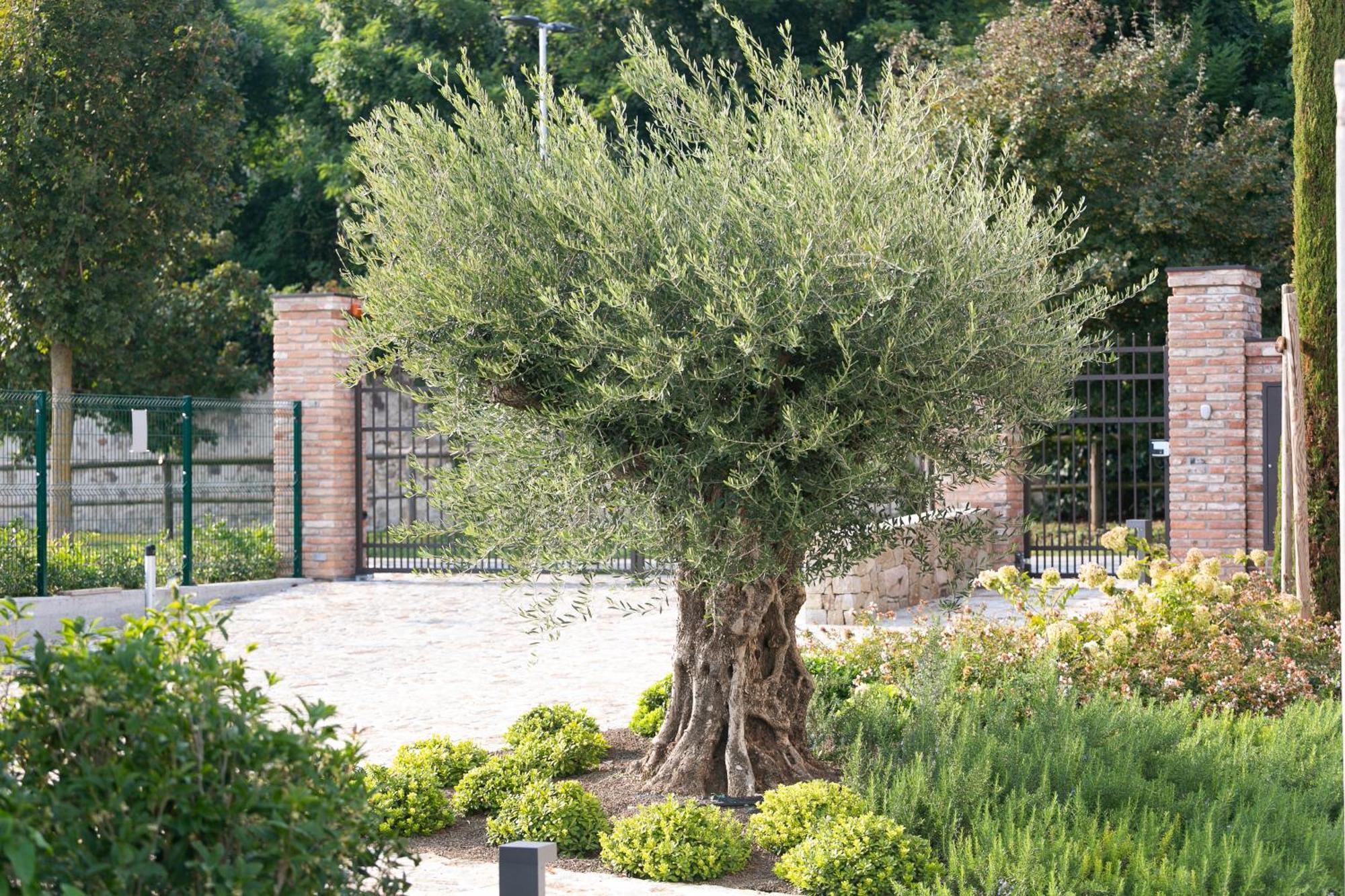 Aparthotel Casa Massaro Todeschini Abano Terme Zewnętrze zdjęcie